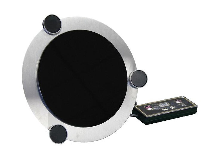 Tiger 電熱保溫器（300W）