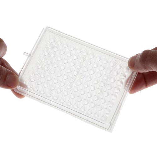 仿魚子醬製作器