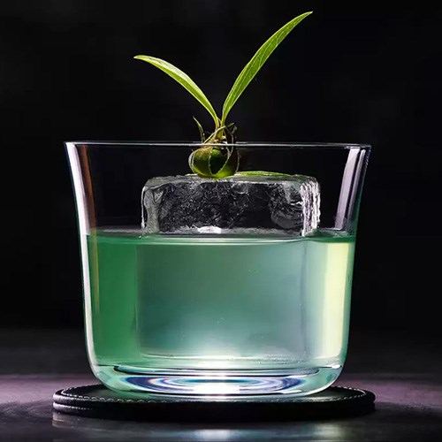 進口水杯 