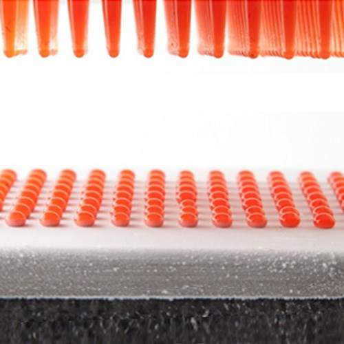 進口仿魚子醬製作器盒