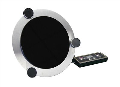 Tiger 電熱保溫器（300W）
