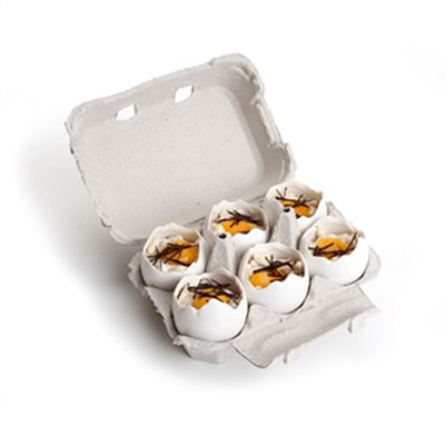 碎雞蛋造型瓷器(10入)