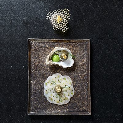 SOLSTICE系列-長方盤 21cm 